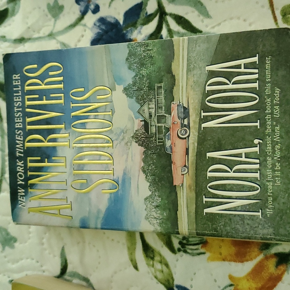 🎈Anne Rivers Siddons books🎈 - Picture 3 of 6
